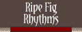 Ripe Fig Rhythms